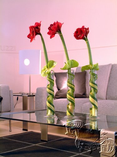 Róth Design, az Ön virágszínvonala