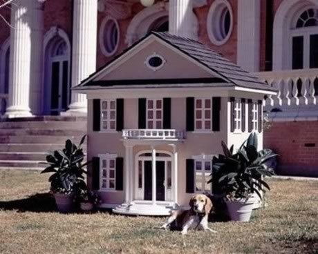 "" Dog Houses ""