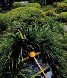 红尘净土——庭院