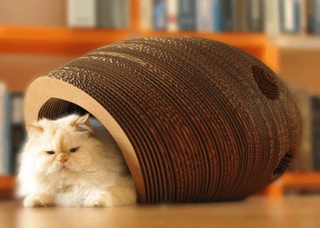 ตกแต่งบ้านให้เจ้าเมี๊ยวน้อย