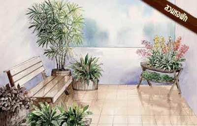 สวนสวยช่วยประหยัดพลังงาน สวนทาวน์เฮาส์ สวนหอพัก