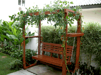 Veggie Garden