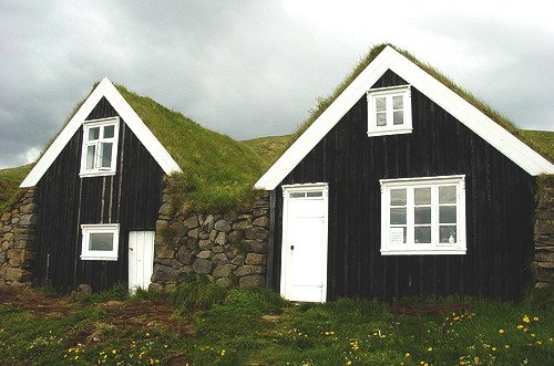 Green Roofs : บ้านหลังคาธรรมชาติ