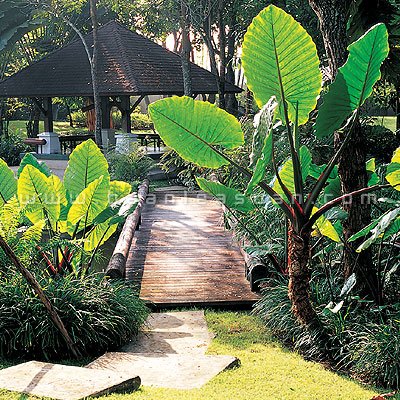 ลัด เลาะ ริมเนิน