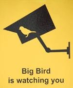 Big Bird is watching you
