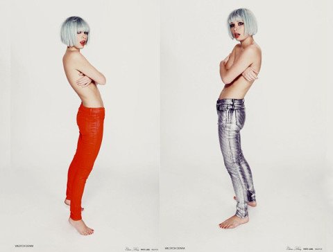 BST WildFox Denim 2013 .