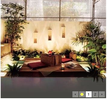 Twilight Garden : สวนเล่นกับไฟ