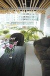 在生态办公室享受大自然气息(图)