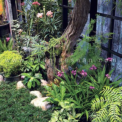 สวน "EXOTIC TROPICAL GARDEN"