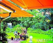 夏日花园打理计划 开辟阴凉调养花草(图)