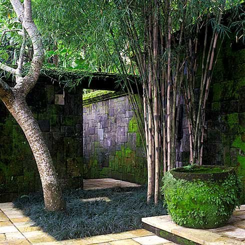 บ้านและการตกแต่งแบบ Asian Style