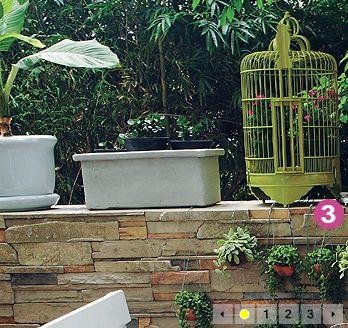 Garden in my home