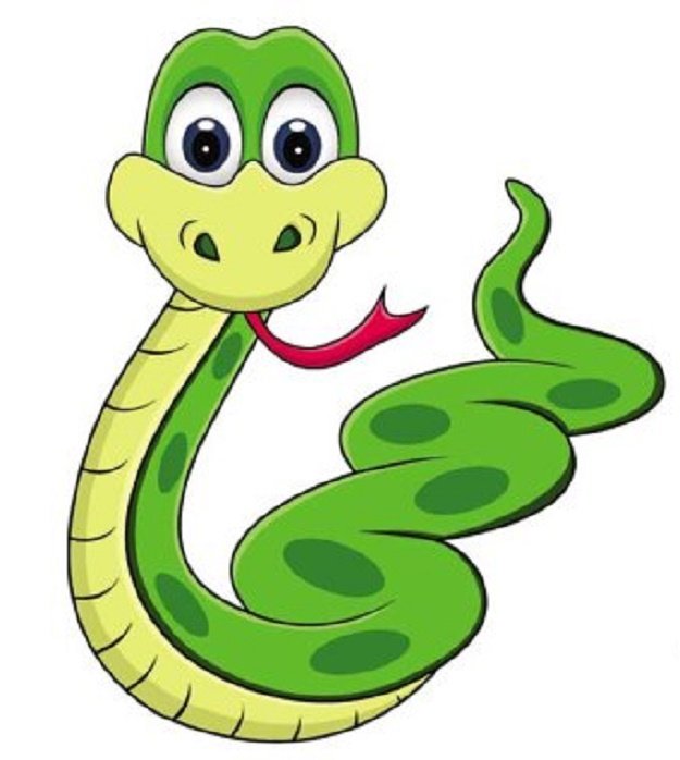 วิธีป้องกันงูเข้าบ้าน รู้ไว้ก่อน เพื่อความปลอดภัย