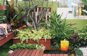 Outside Living in Tropical Style