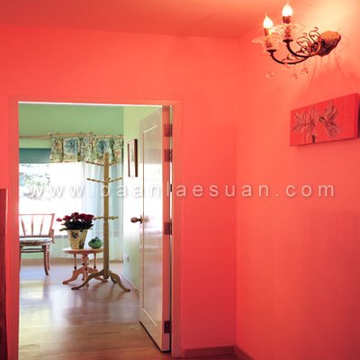 สีสันของความสุข