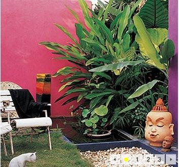 Colourful wall
