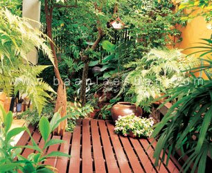 ระเบียงสีส้ม ในสวนหลังบ้าน