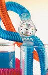 SWATCH绚彩夏季新表款图
