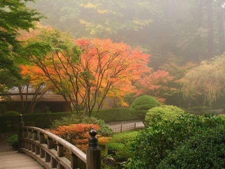 สวนแบบญี่ปุ่นที่ Portland Oregon (Portland's Japanese Garden)