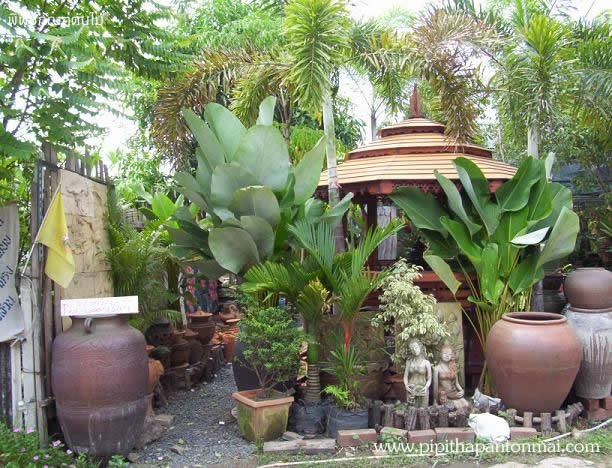เคล็ดลับเลือกพันธุ์ไม้ เติมเต็มธรรมชาติในบ้าน