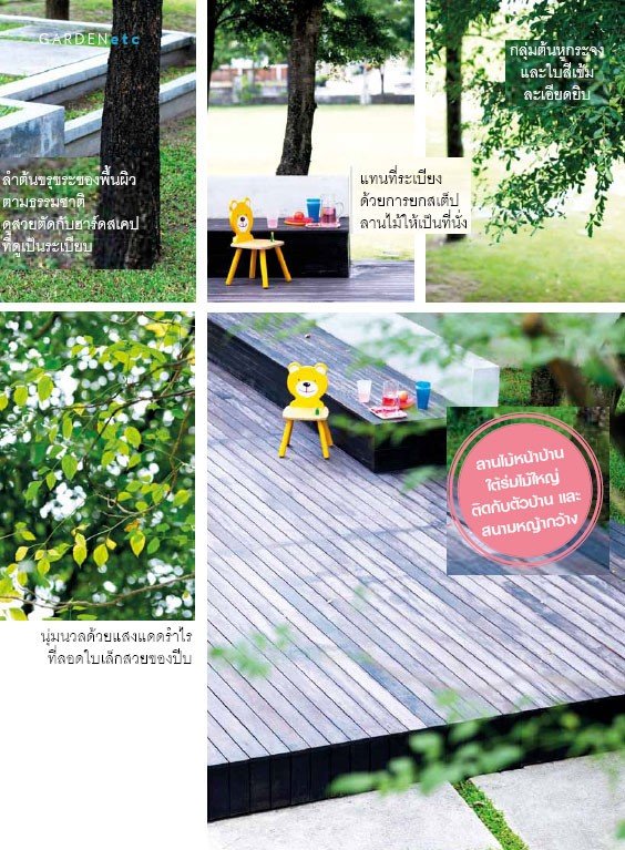 สวนแบบไม่ต้องดูแล