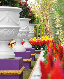 สีสันสวนยุโรป