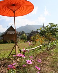 รสสัมผัสจากเมืองปาย