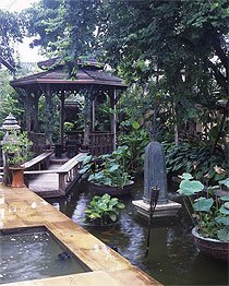 เลียบเลาะระเบียงไม้กลางสวนน้ำ