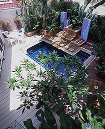 Compact Garden -  ชื่นฉ่ำกับชีวิตในสวนขนาดย่อมแต่ได้คุณค่าและประโยชน์สมบูรณ์