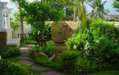 สวนป่าน้ำตก