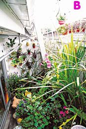 STAND GARDEN...สวนแนวตั้งที่จัดไม่ยาก