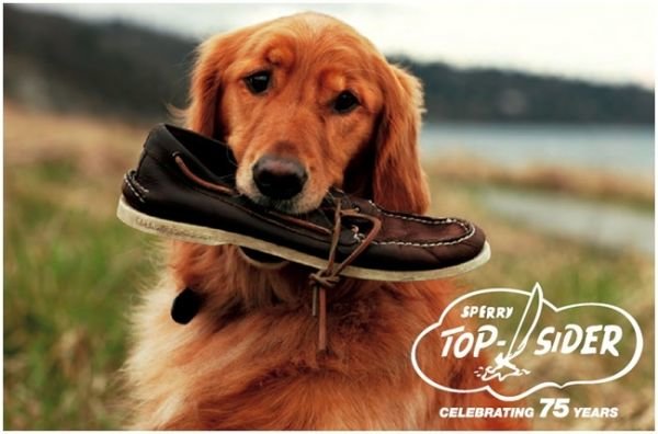 รองเท้าสไตล์ Boat Shoes