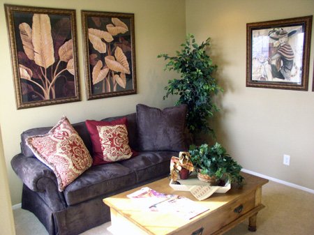 model homes