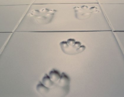 Snow Print / Ceramic Tile Concept