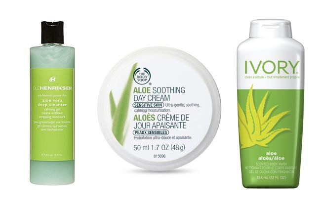 แนะนำผลิตภัณฑ์ Aloe vera น่าใช้ที่สุด