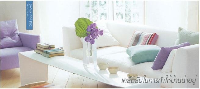 เติมสีให้กับบ้านขาว