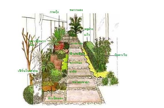 การใช้สีในการจัดสวนมีอยู่ 4 ประเด็นด้วยกันดังนี้คือ